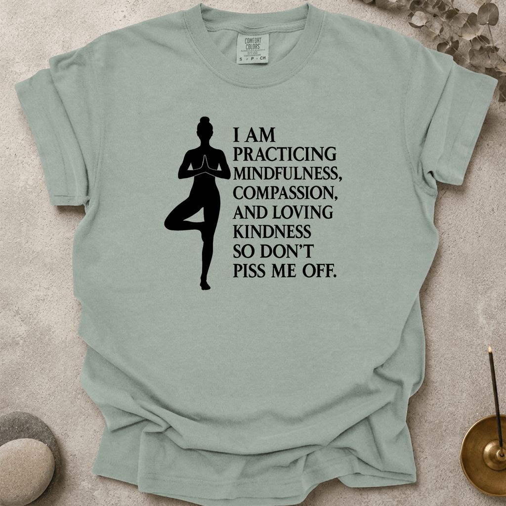 Don't piss me off t-shirt