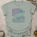 Here For Calm Not Conversation t-shirt