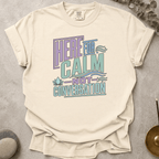 Here For Calm Not Conversation t-shirt