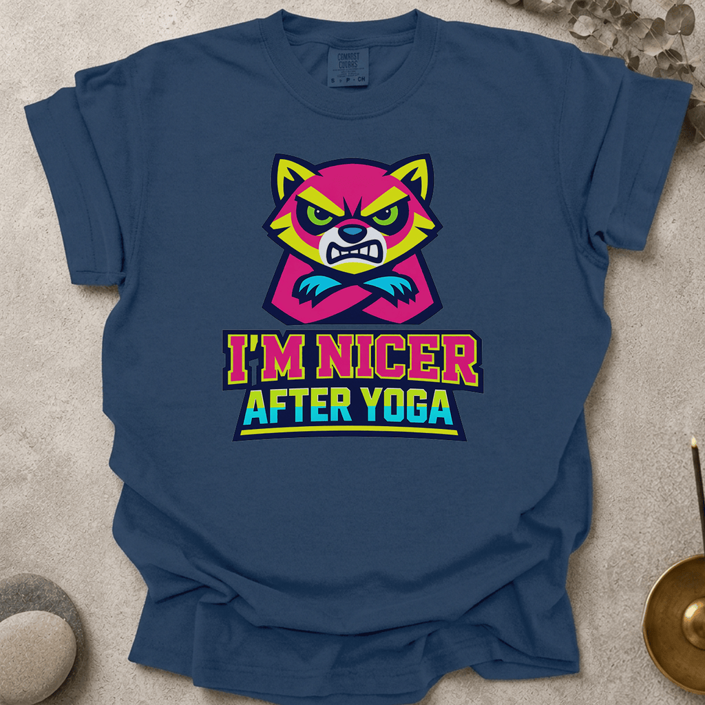 I'm Nicer After Yoga t-shirt