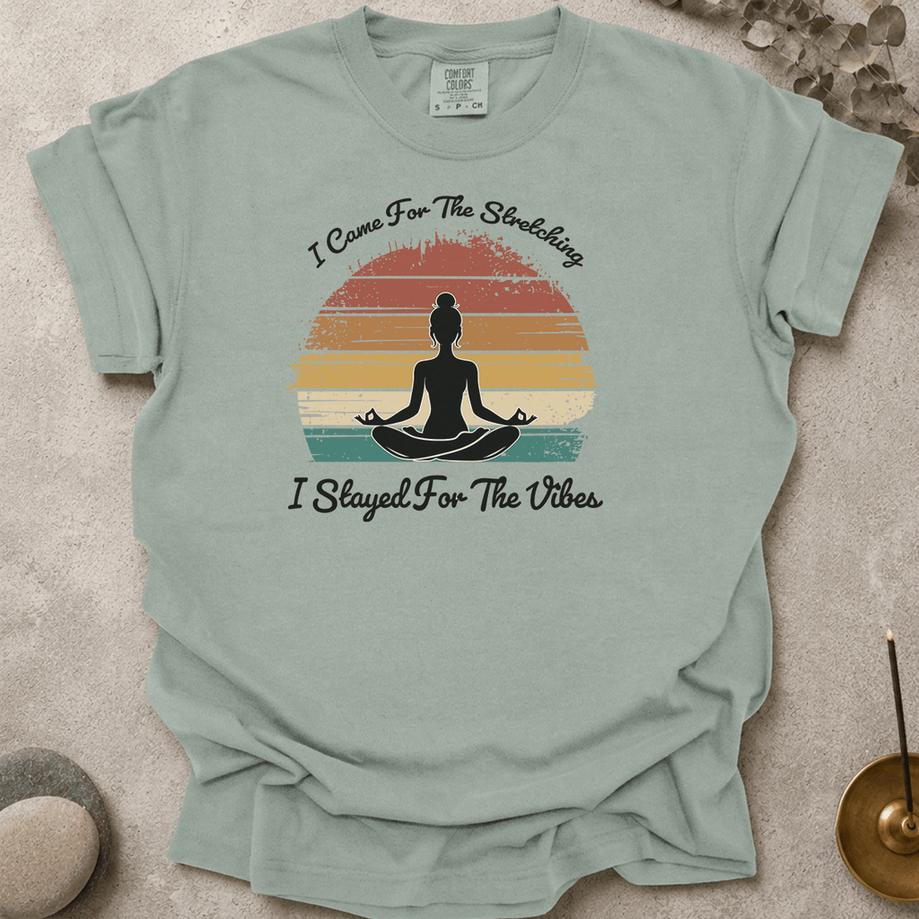 Stayed for the vibes t-shirt