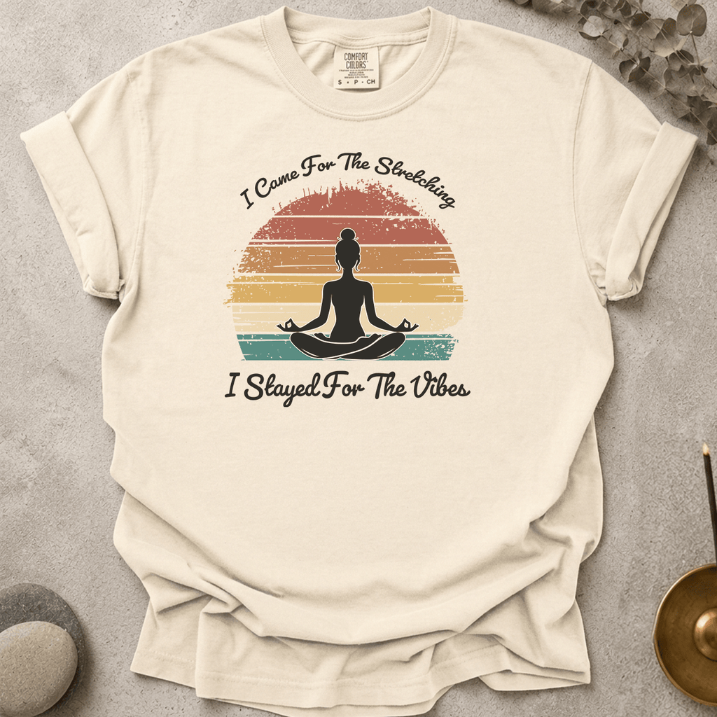 Stayed for the vibes t-shirt