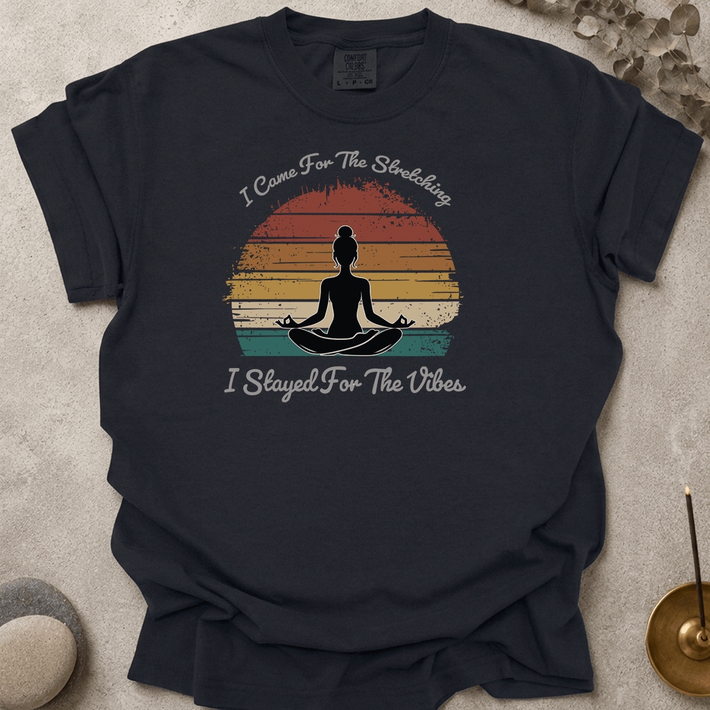 Stayed for the vibes t-shirt