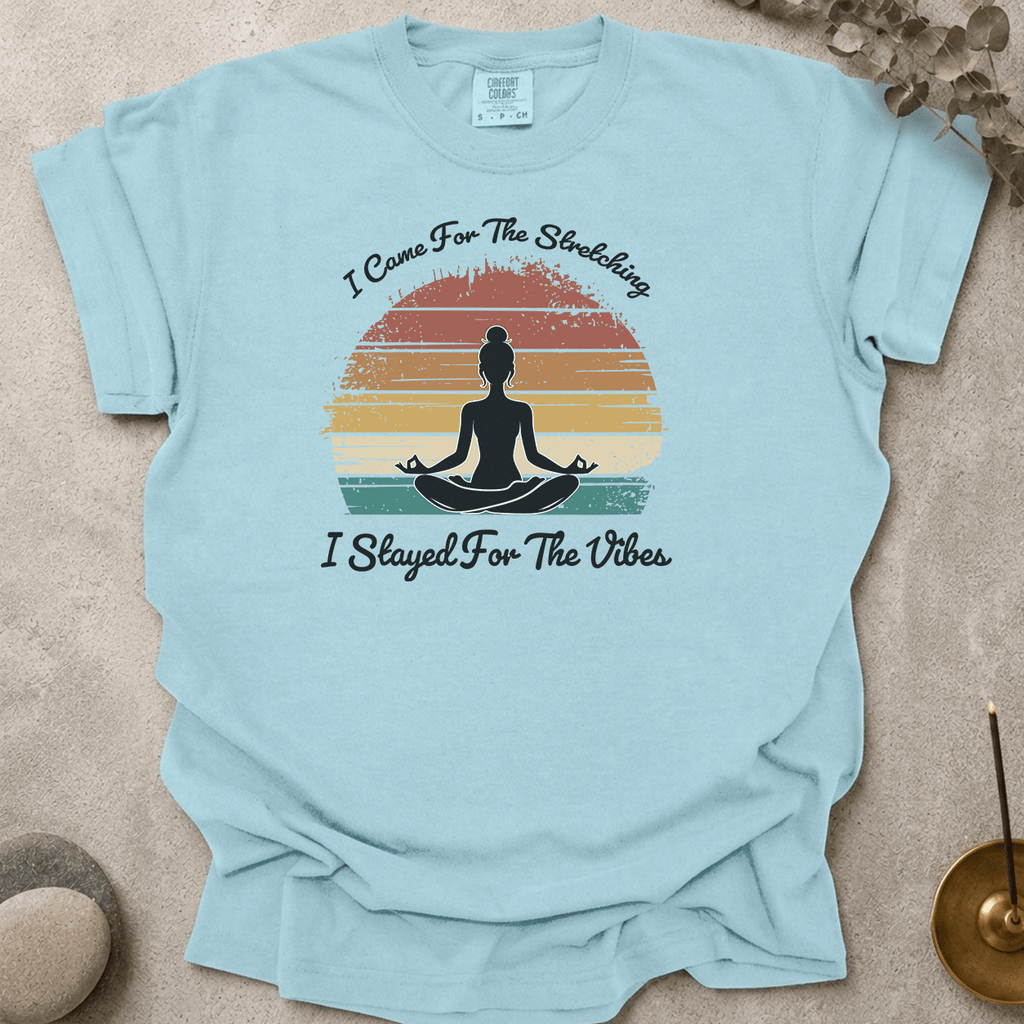 Stayed for the vibes t-shirt